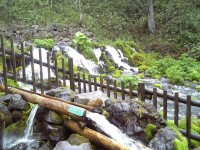 京極のふきだし湧水